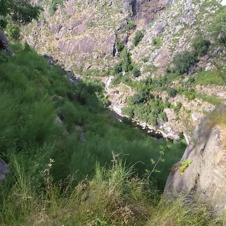 Bellavista